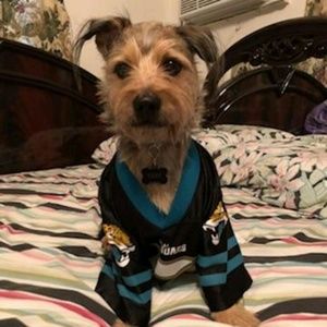 Meet your Posher, Bryan